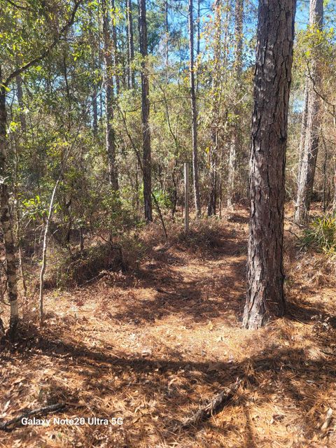 Tiny photo for 0 Smith Creek Road, Tallahassee, FL 32310 (MLS # 400581)