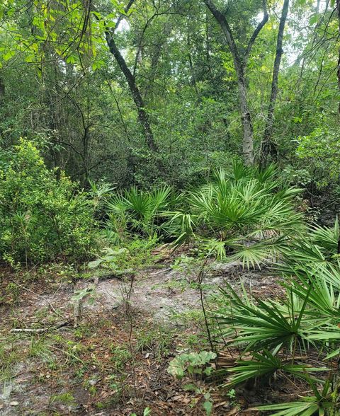 Tiny photo for 0 Smith Creek Road, Tallahassee, FL 32310 (MLS # 400581)