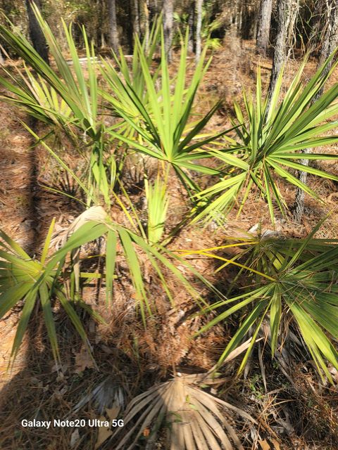 Tiny photo for 0 Smith Creek Road, Tallahassee, FL 32310 (MLS # 400581)