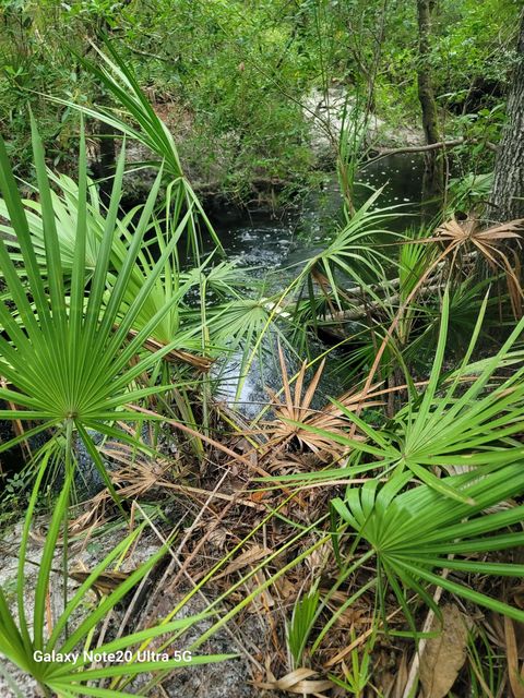 Tiny photo for 0 Smith Creek Road, Tallahassee, FL 32310 (MLS # 400581)