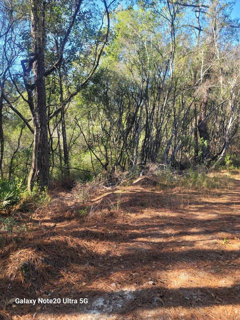 Tiny photo for 0 Smith Creek Road, Tallahassee, FL 32310 (MLS # 400581)