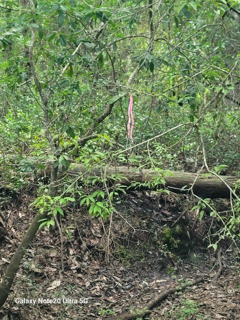 Tiny photo for 0 Smith Creek Road, Tallahassee, FL 32310 (MLS # 400581)