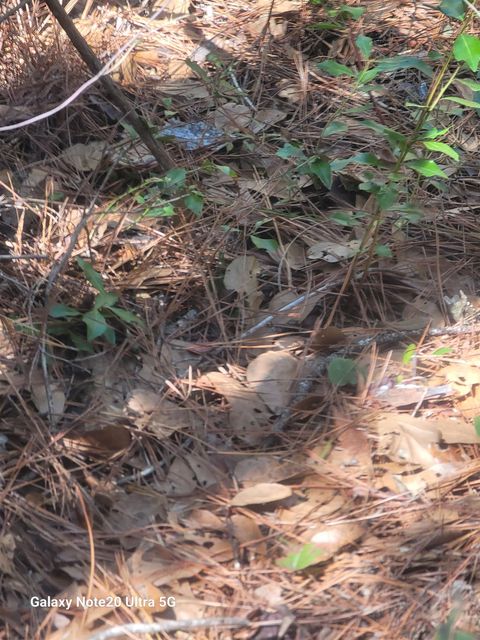 Tiny photo for 0 Smith Creek Road, Tallahassee, FL 32310 (MLS # 400581)