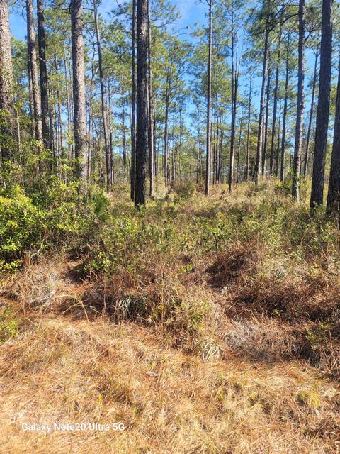 Tiny photo for 0 Smith Creek Road, Tallahassee, FL 32310 (MLS # 400581)
