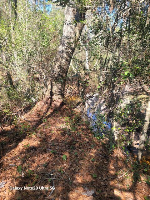 Tiny photo for 0 Smith Creek Road, Tallahassee, FL 32310 (MLS # 400581)