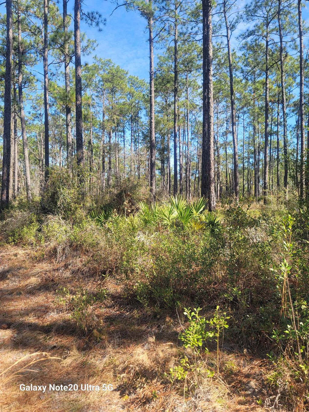 Photo of 0 Smith Creek Road, Tallahassee, FL 32310 (MLS # 400581)