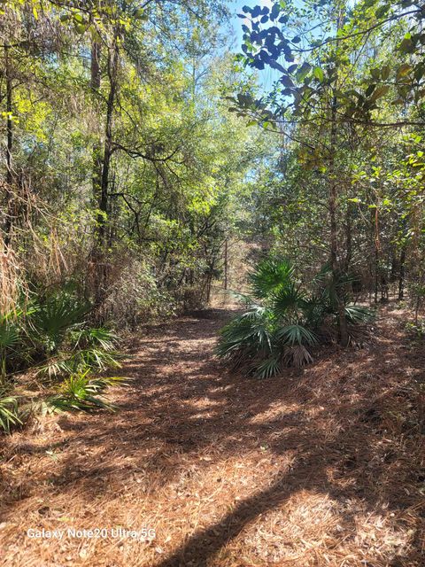 Tiny photo for 0 Smith Creek Road, Tallahassee, FL 32310 (MLS # 400581)