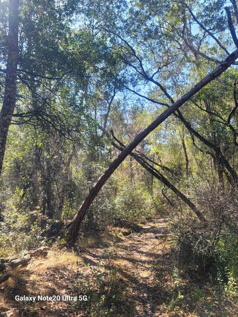 Tiny photo for 0 Smith Creek Road, Tallahassee, FL 32310 (MLS # 400581)