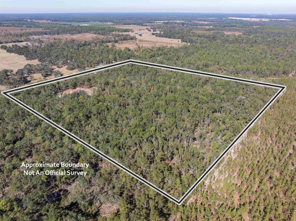Photo of 6172 NE Hickory Grove Road, Pinetta, FL 32350 (MLS # 393030)