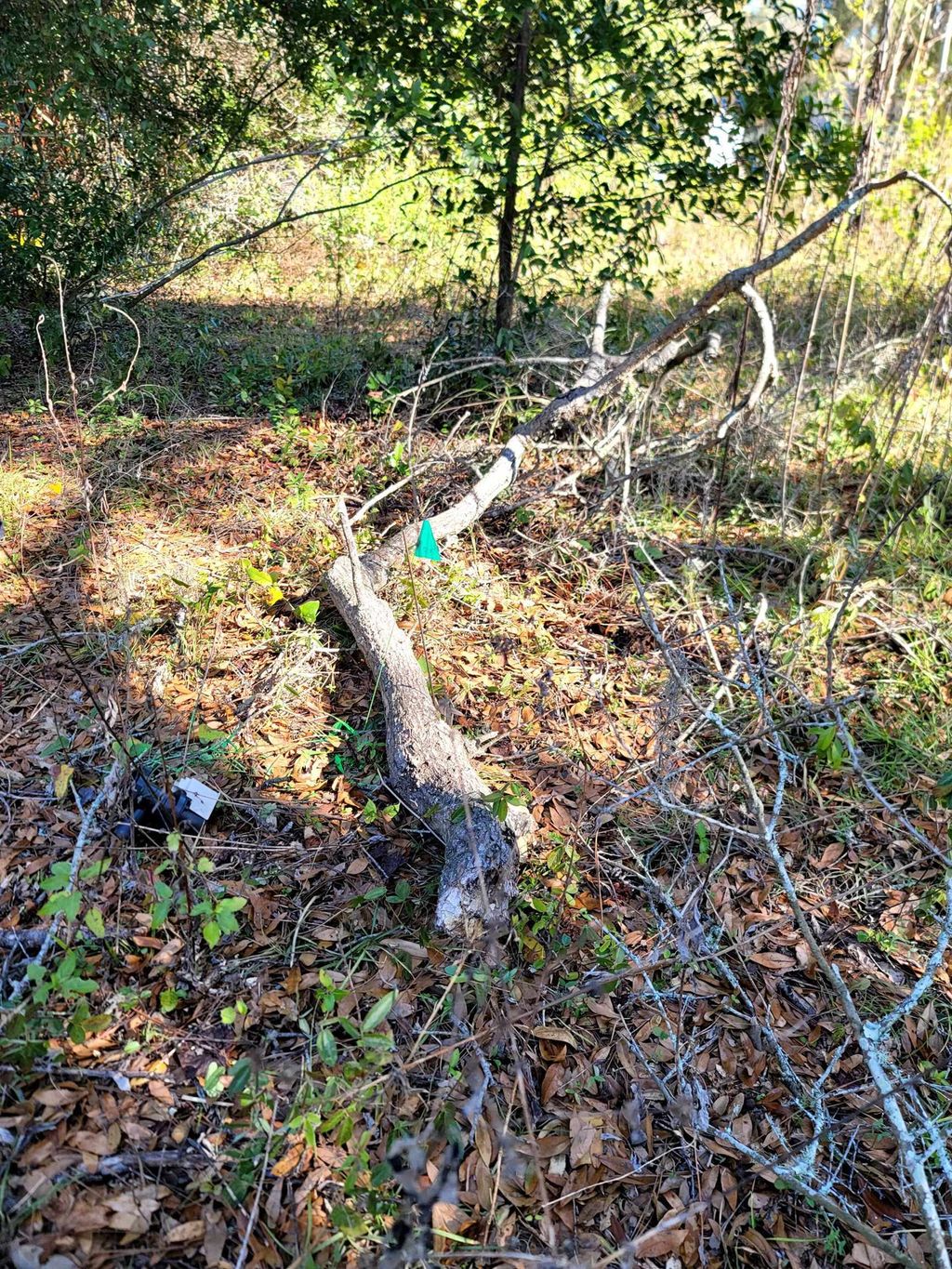 Photo of 842 Ridge Road, Tallahassee, FL 32305 (MLS # 394762)