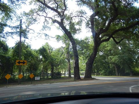 Tiny photo for 2341 Edenfield Road, Tallahassee, FL 32308 (MLS # 402131)