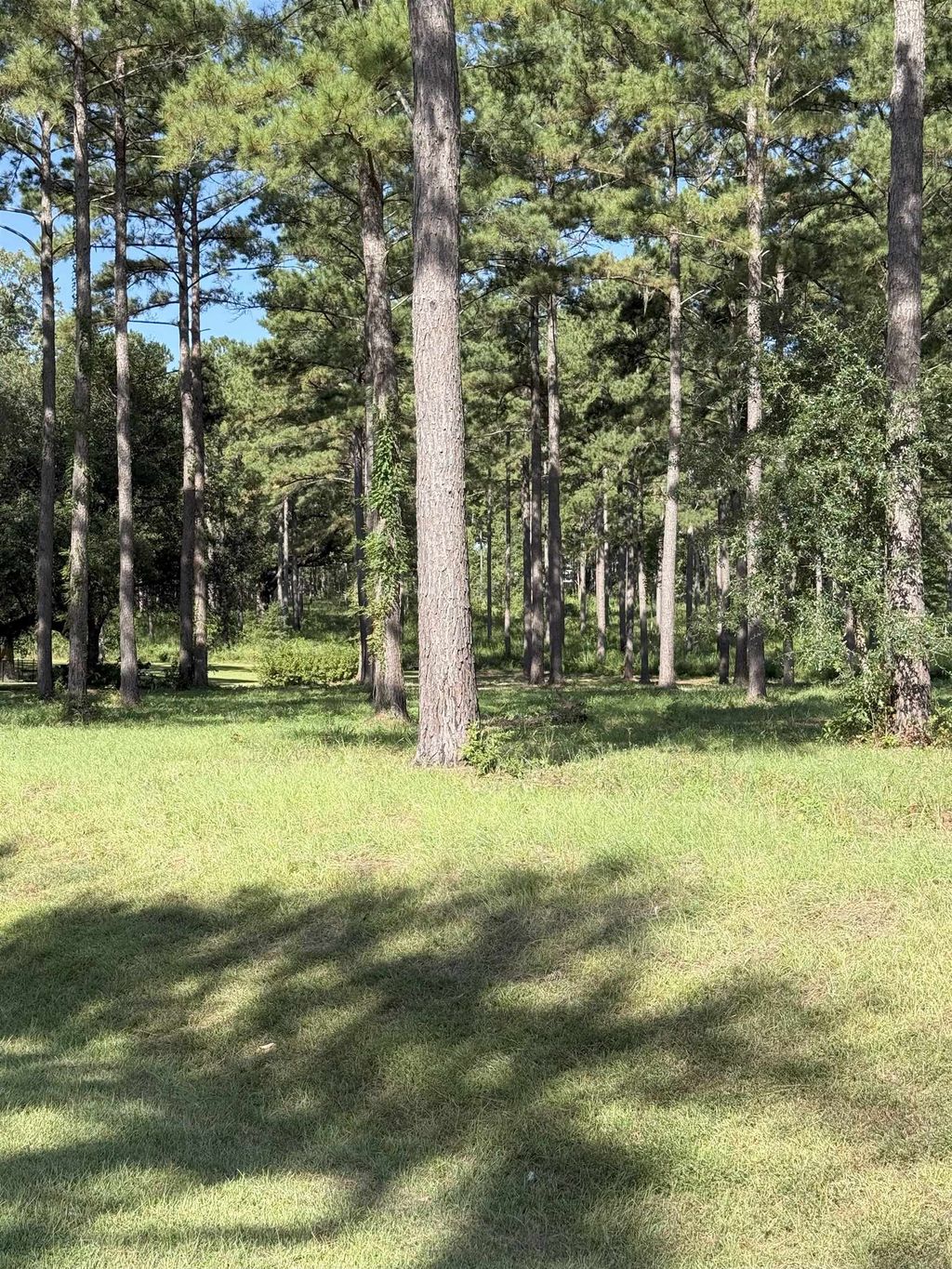 Photo of Lot 11A Lake Pisgah Drive, Tallahassee, FL 32309 (MLS # 390961)