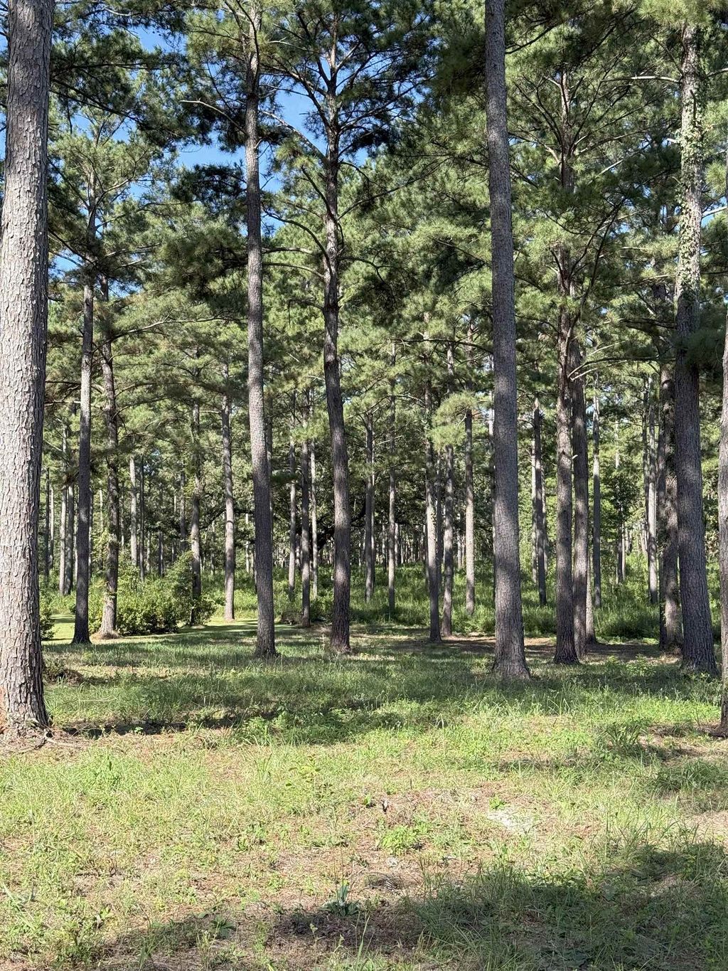 Photo of Lot 11A Lake Pisgah Drive, Tallahassee, FL 32309 (MLS # 390961)