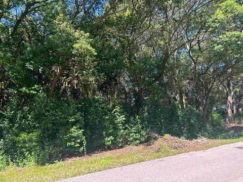 xxx NW 6th Street Carrabelle FL 32322