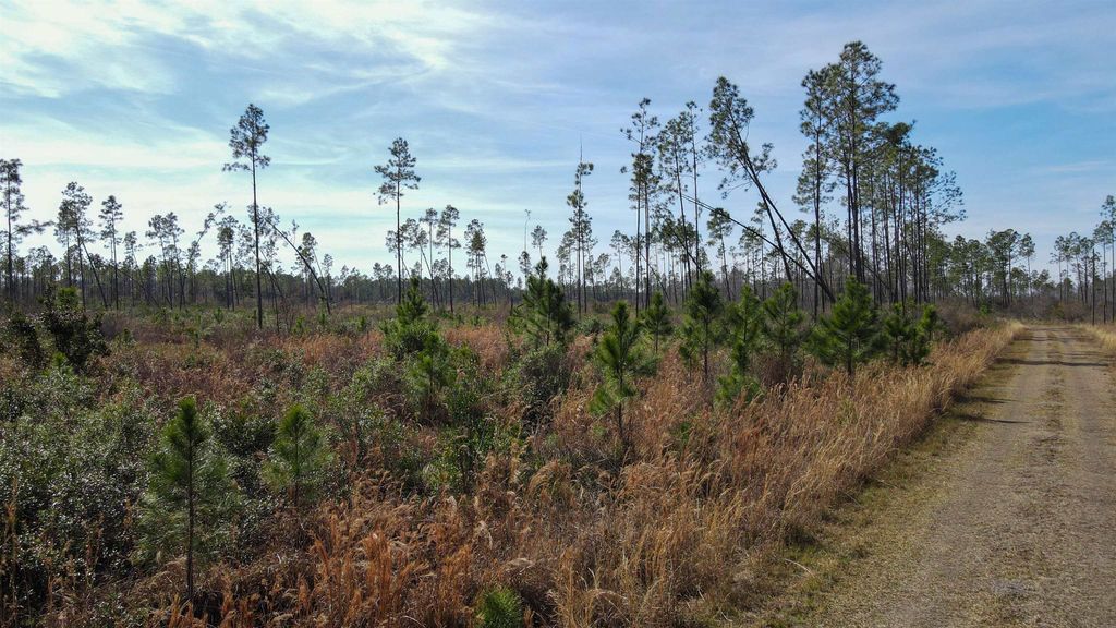 Photo of Lot 49 Circle Block Loop, Perry, FL 32348 (MLS # 392147)