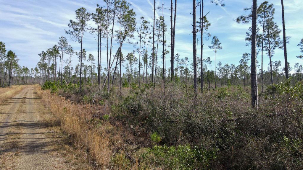 Photo of Lot 49 Circle Block Loop, Perry, FL 32348 (MLS # 392147)