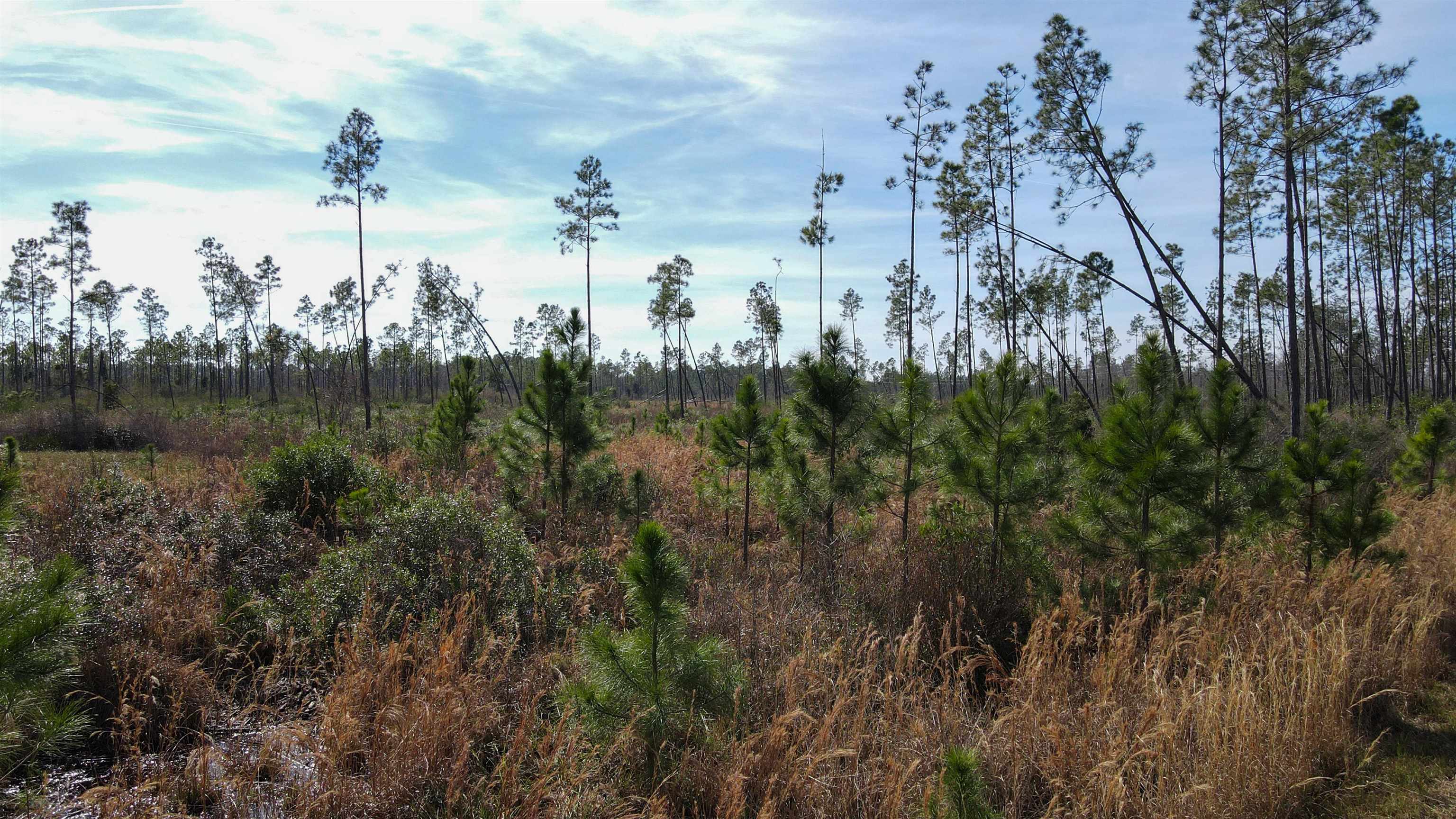 Lot 49 Circle Block Loop