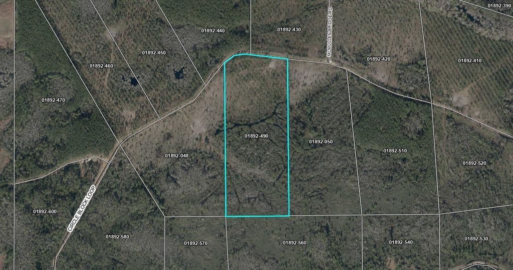 Photo of Lot 49 Circle Block Loop, Perry, FL 32348 (MLS # 392147)
