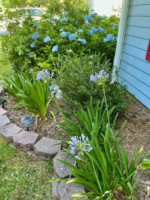 Tiny photo for 5024 Pimlico Drive, Tallahassee, FL 32309 (MLS # 397895)