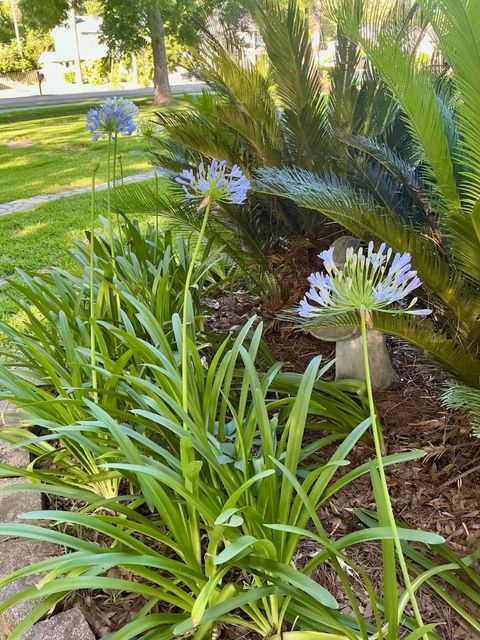 Tiny photo for 5024 Pimlico Drive, Tallahassee, FL 32309 (MLS # 397895)