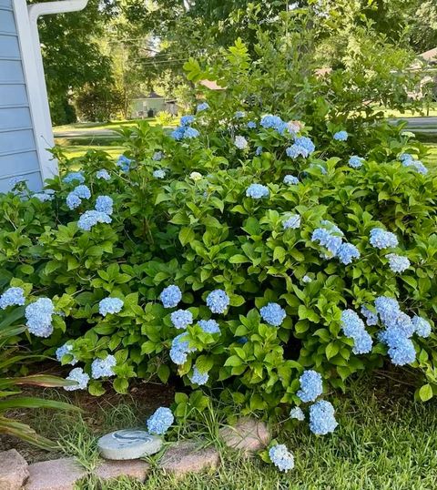 Tiny photo for 5024 Pimlico Drive, Tallahassee, FL 32309 (MLS # 397895)