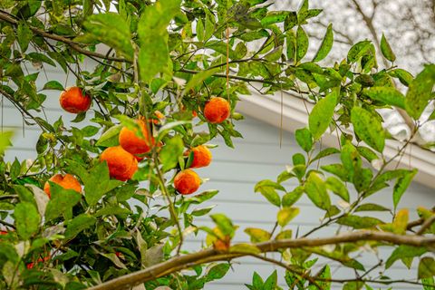 Tiny photo for 5024 Pimlico Drive, Tallahassee, FL 32309 (MLS # 397895)