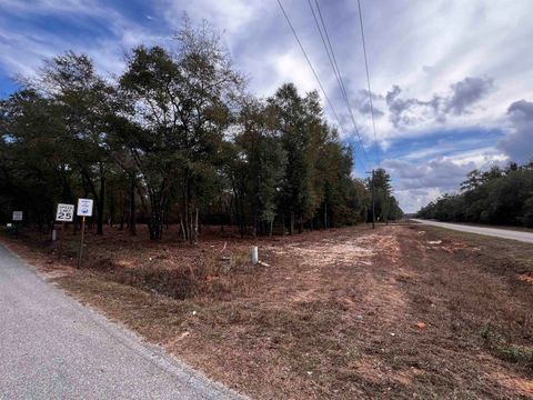 Photo of XX McCall Bridge Road, Lake Talquin, FL 32351 (MLS # 394093)