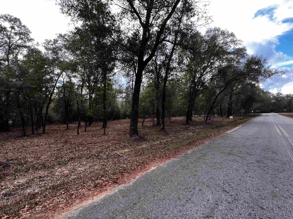 Photo of XX McCall Bridge Road, Lake Talquin, FL 32351 (MLS # 394093)