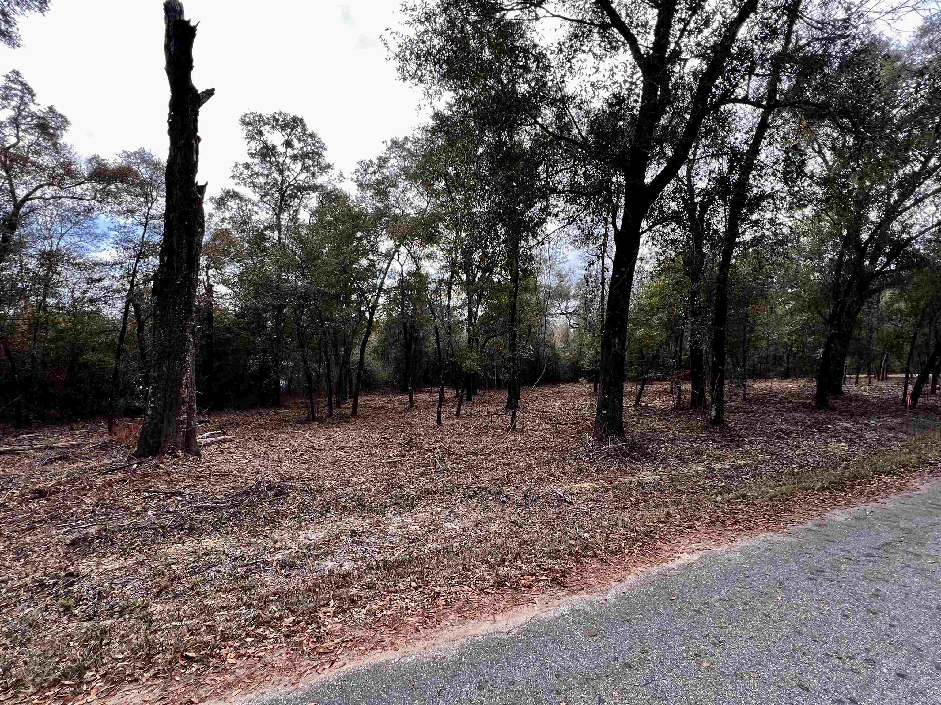 XX McCall Bridge Road