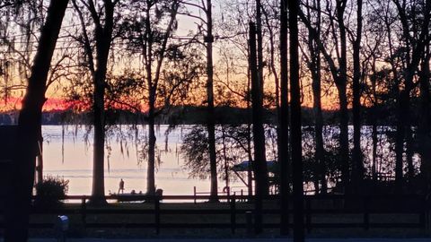 Tiny photo for 24343 Lanier Street, Tallahassee, FL 32310 (MLS # 392443)