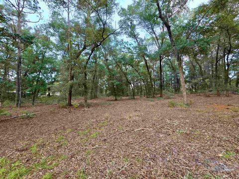 Tiny photo for 300 Ross Road, Tallahassee, FL 32305 (MLS # 393433)