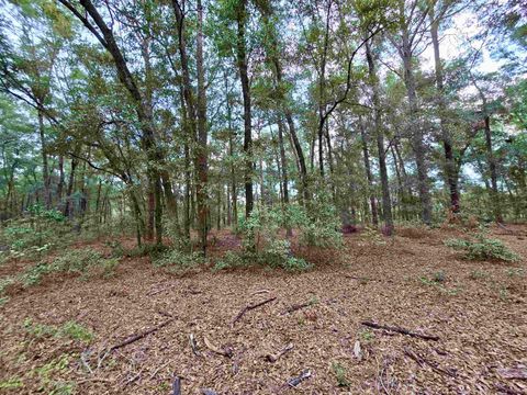 Tiny photo for 300 Ross Road, Tallahassee, FL 32305 (MLS # 393433)