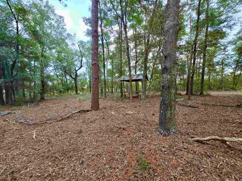 Tiny photo for 300 Ross Road, Tallahassee, FL 32305 (MLS # 393433)