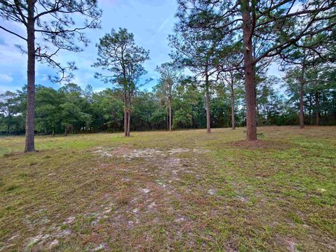 Tiny photo for 300 Ross Road, Tallahassee, FL 32305 (MLS # 393433)