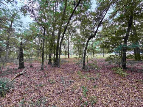 Tiny photo for 300 Ross Road, Tallahassee, FL 32305 (MLS # 393433)