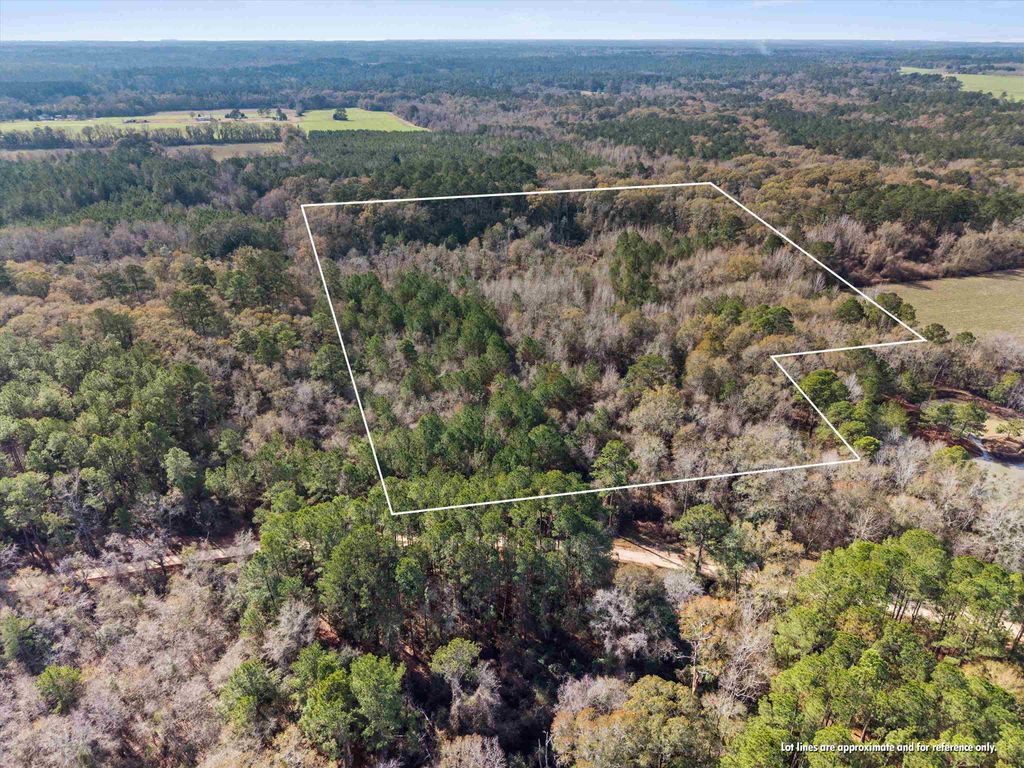 Photo of 0 Big Pond Lane, Thomasville, GA 31757 (MLS # 395624)