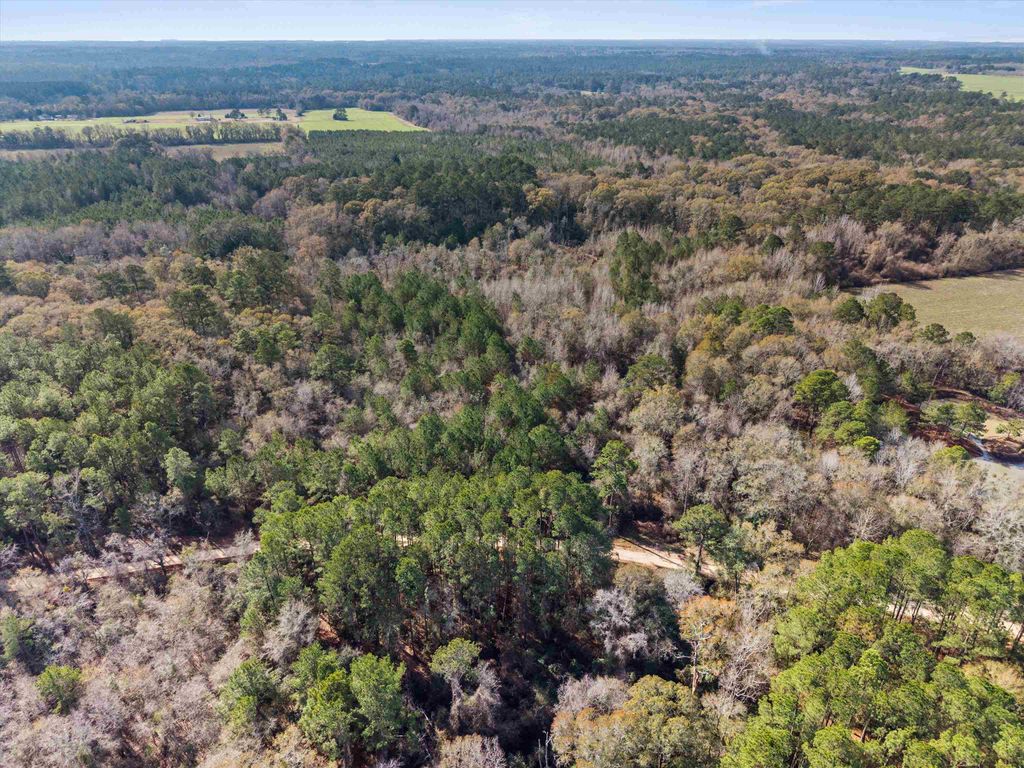 Photo of 0 Big Pond Lane, Thomasville, GA 31757 (MLS # 395624)