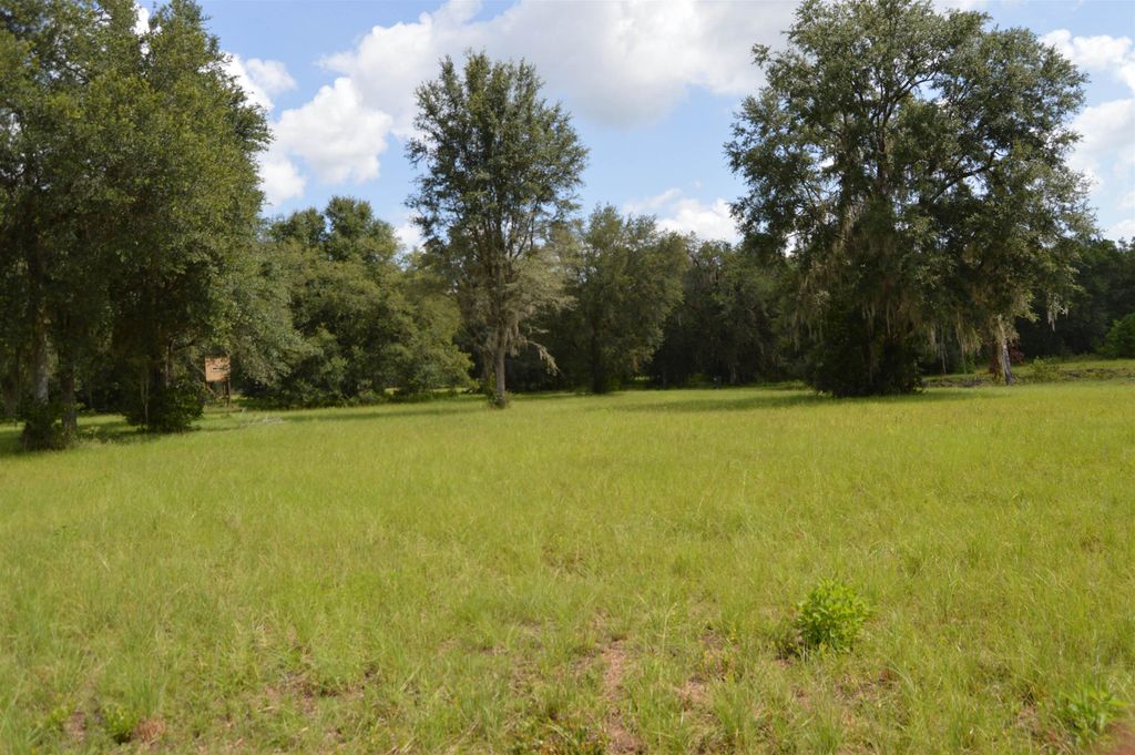 Photo of 16131 US 19, Lamont, FL 32336 (MLS # 389042)