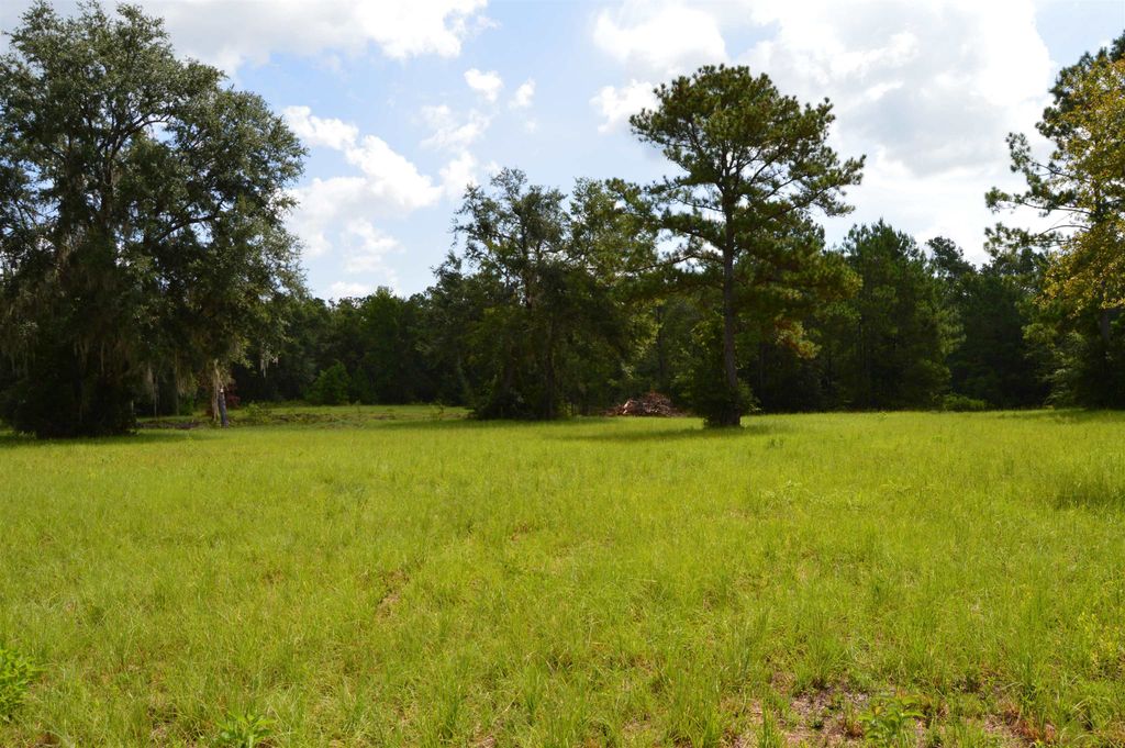 Photo of 16131 US 19, Lamont, FL 32336 (MLS # 389042)