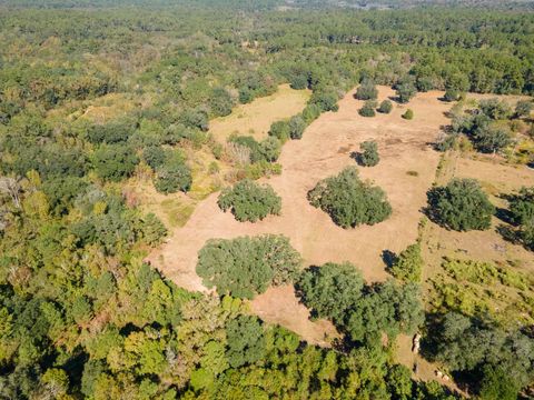 Tiny photo for X Gardners Farm Road, Tallahassee, FL 32312 (MLS # 392305)