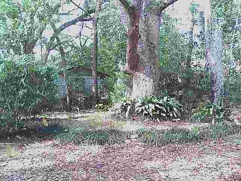 Tiny photo for 1514 Majestic Avenue #1, Tallahassee, FL 32304 (MLS # 399151)