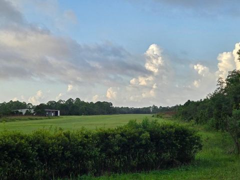 MLS: 381728