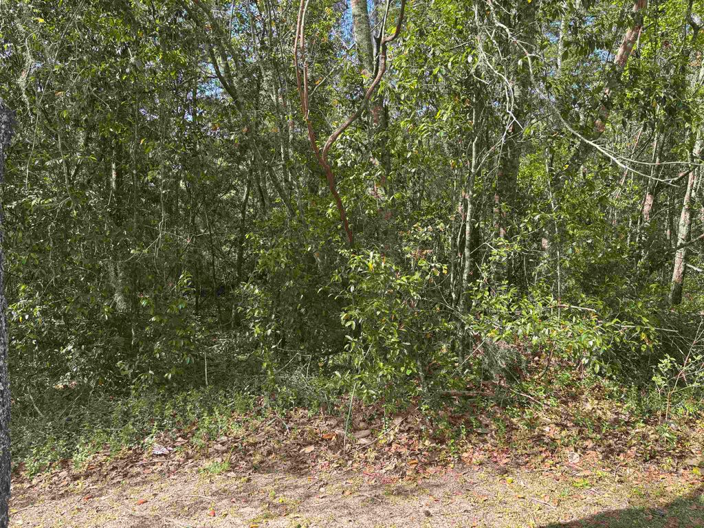 Photo of Lester Hackley Road, Tallahassee, FL 32308 (MLS # 391432)