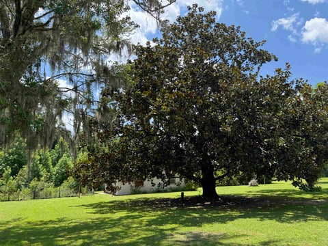 Tiny photo for 3692 Crawfordville Highway, Crawfordville, FL 32327 (MLS # 401961)