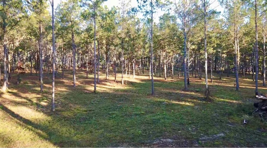 Photo of 000 Collins Road, Cairo, GA 39828 (MLS # 392413)