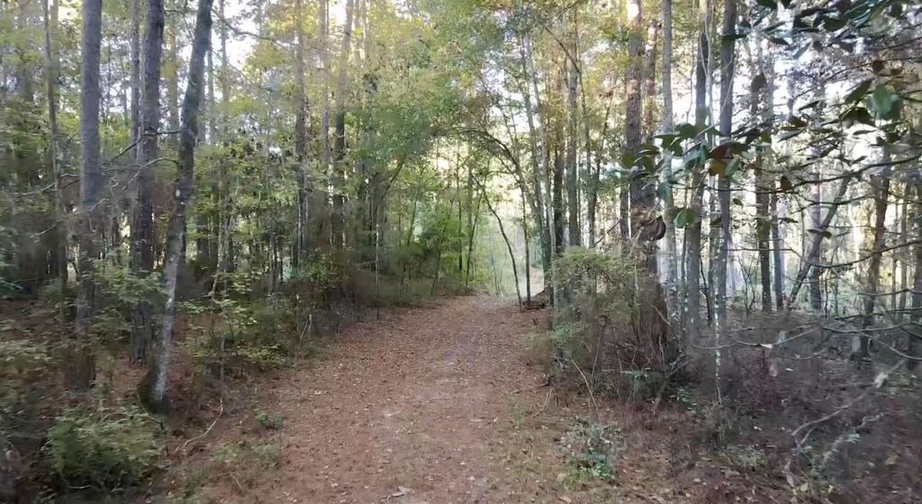 Photo of 000 Collins Road, Cairo, GA 39828 (MLS # 392413)