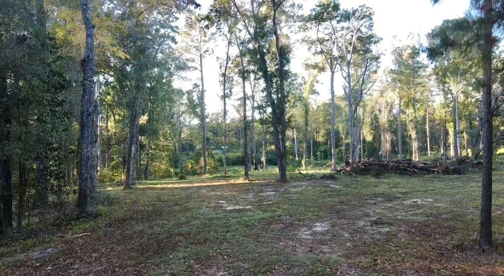 Photo of 000 Collins Road, Cairo, GA 39828 (MLS # 392413)