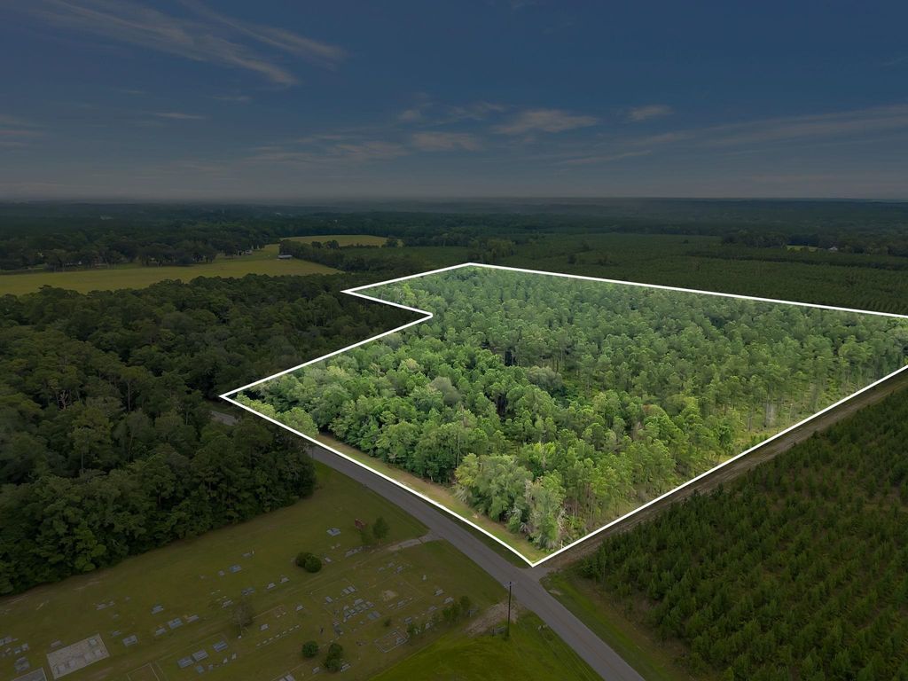 Photo of 00000 Solomon Dairy Road, Quincy, FL 32351 (MLS # 389141)