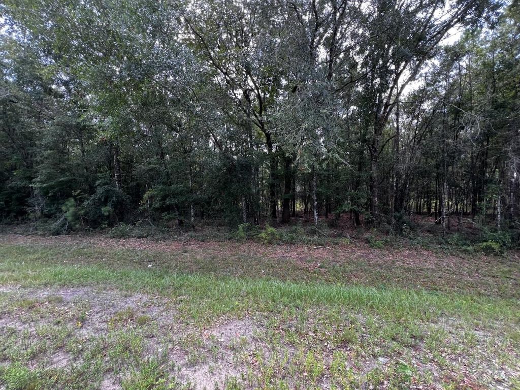 Photo of 00000 Solomon Dairy Road, Quincy, FL 32351 (MLS # 389141)