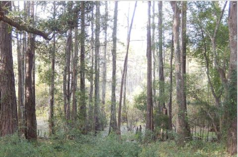 Tiny photo for 2414 Ramblewood Court #B, Tallahassee, FL 32303 (MLS # 387132)